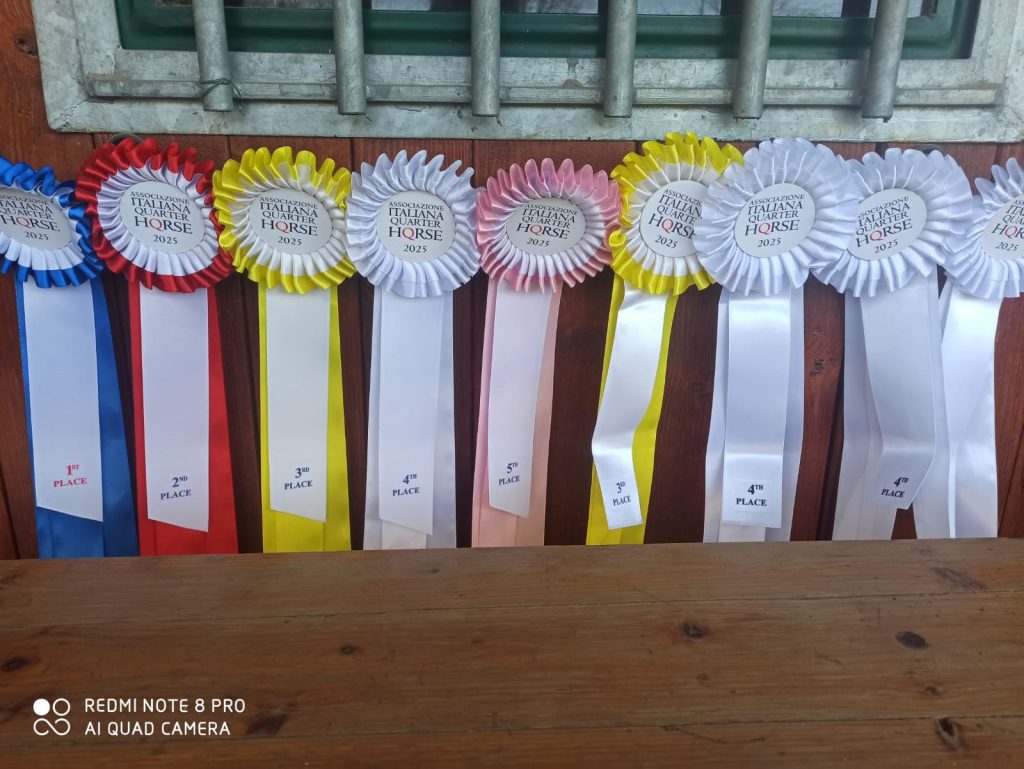 Coccarde di premiazione dell'Italiana Quarter Horse 2025