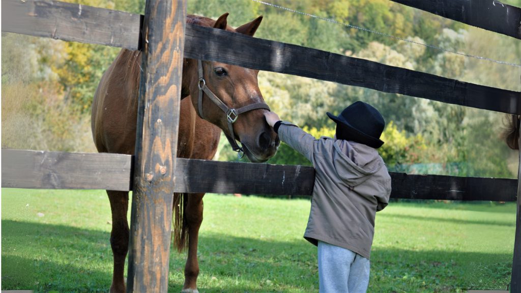 Bambino al campus estivo dell'allevamento del sole, che accarezza un cavallo